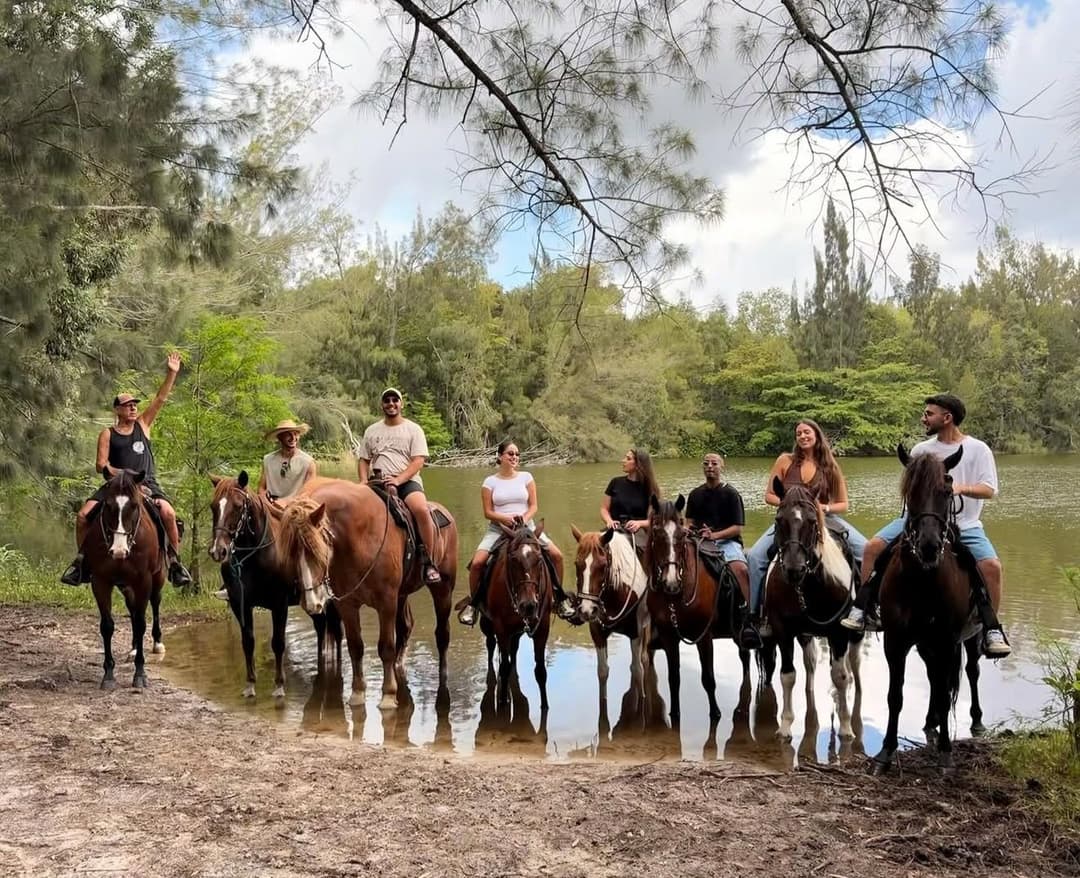 Just Ride | South Florida Horse Ranch — Davie, FL